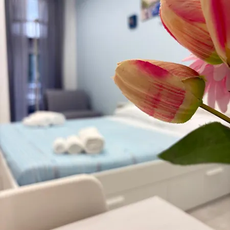 Guest house Il Vicoletto